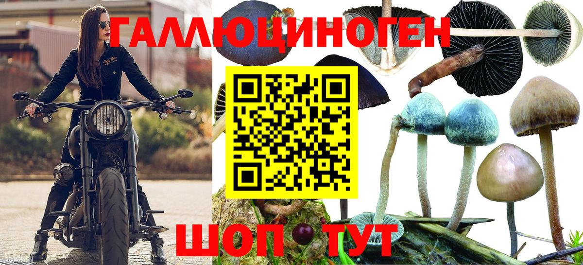Псилоцибиновые грибы Psilocybe  Галлюциногенные грибы Psilocybe  Вход с VPN  Печора 